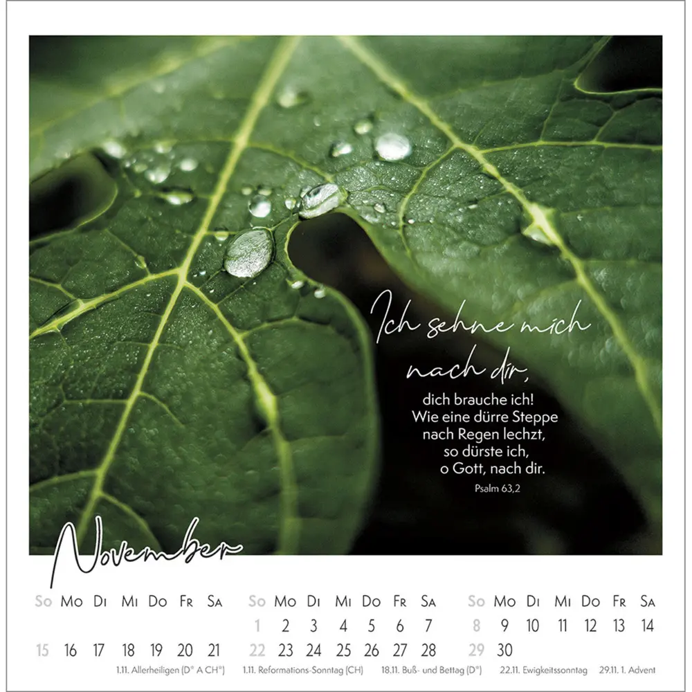 Bild: 9783754815366 | Kleine Auszeit im Grünen 2026 | Die Vielfalt der Schöpfung entdecken