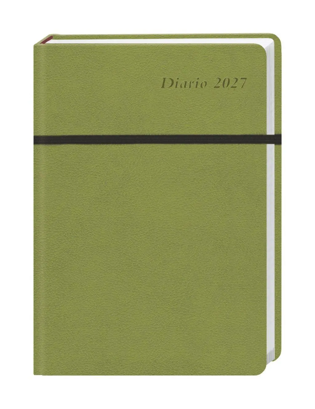 Cover: 9783756415366 | Diario Wochen-Kalenderbuch A6, grün 2027 | Buch | Bürokalender Heye