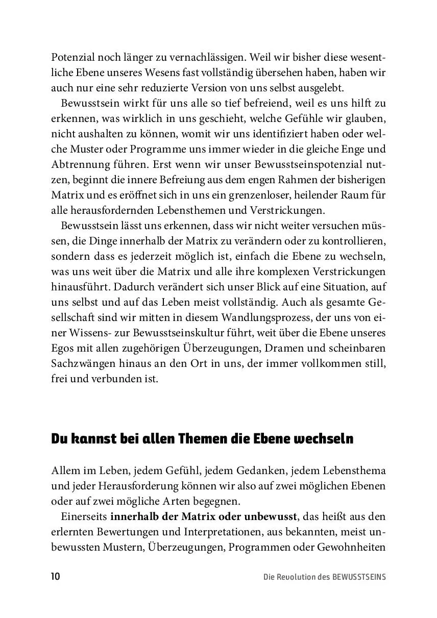 Bild: 9783866165366 | Die Revolution des Bewusstseins | Daniel Hess | Taschenbuch | 320 S.