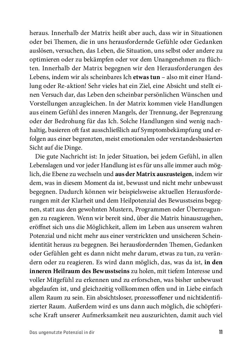 Bild: 9783866165366 | Die Revolution des Bewusstseins | Daniel Hess | Taschenbuch | 320 S.