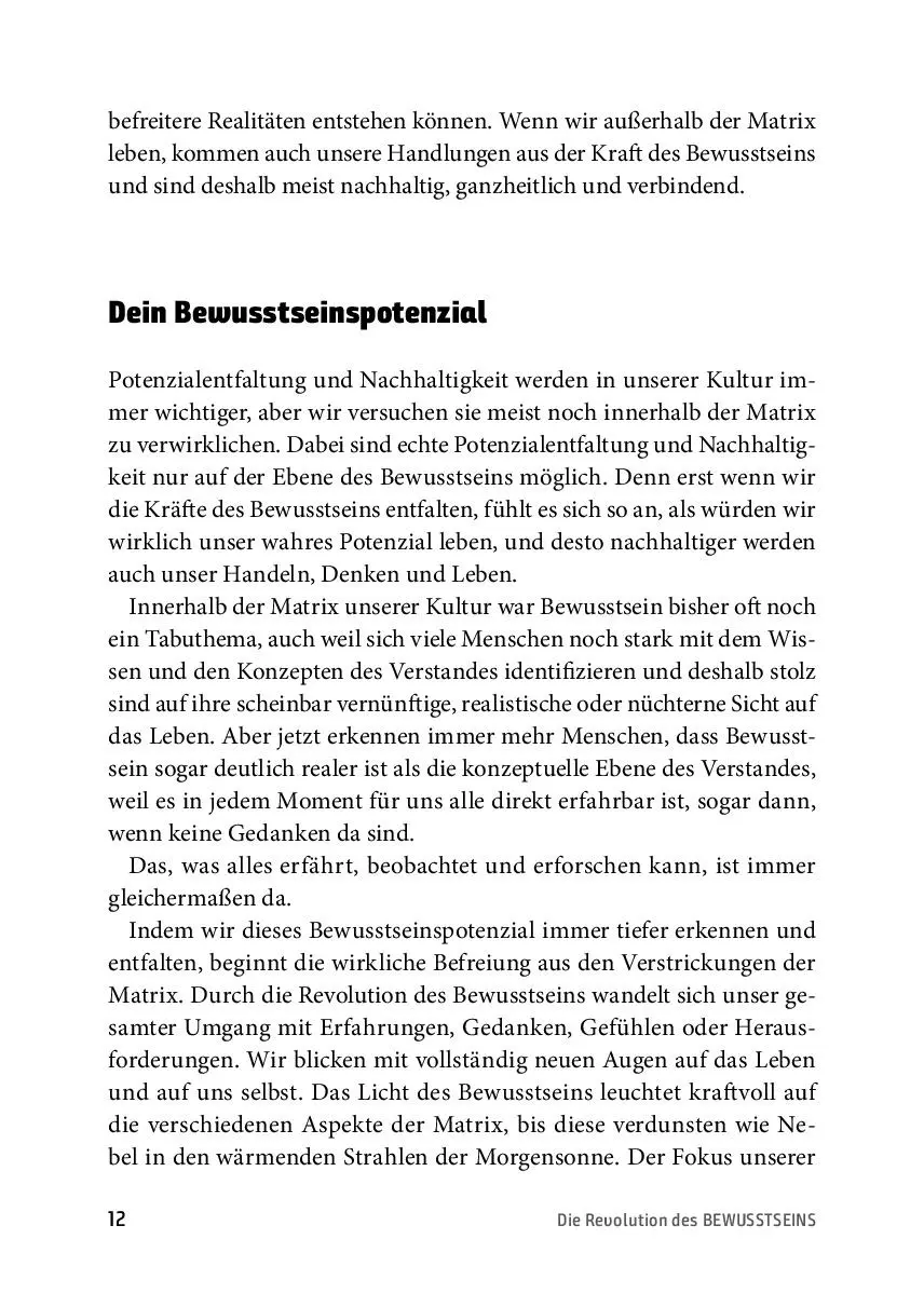 Bild: 9783866165366 | Die Revolution des Bewusstseins | Daniel Hess | Taschenbuch | 320 S.