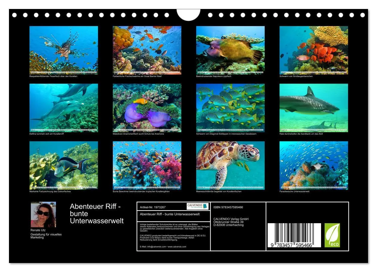 Bild: 9783457595466 | Abenteuer Riff - bunte Unterwasserwelt (Wandkalender 2026 DIN A4...