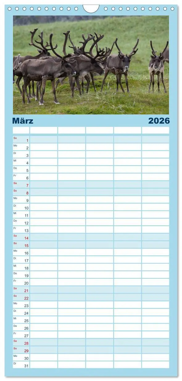 Bild: 9783516515466 | Familienplaner 2026 - Lappland mit 5 Spalten (Wandkalender, 21 x 45...