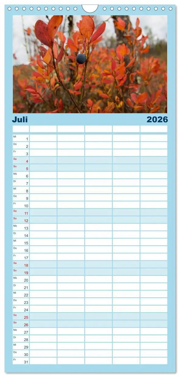 Bild: 9783516515466 | Familienplaner 2026 - Lappland mit 5 Spalten (Wandkalender, 21 x 45...