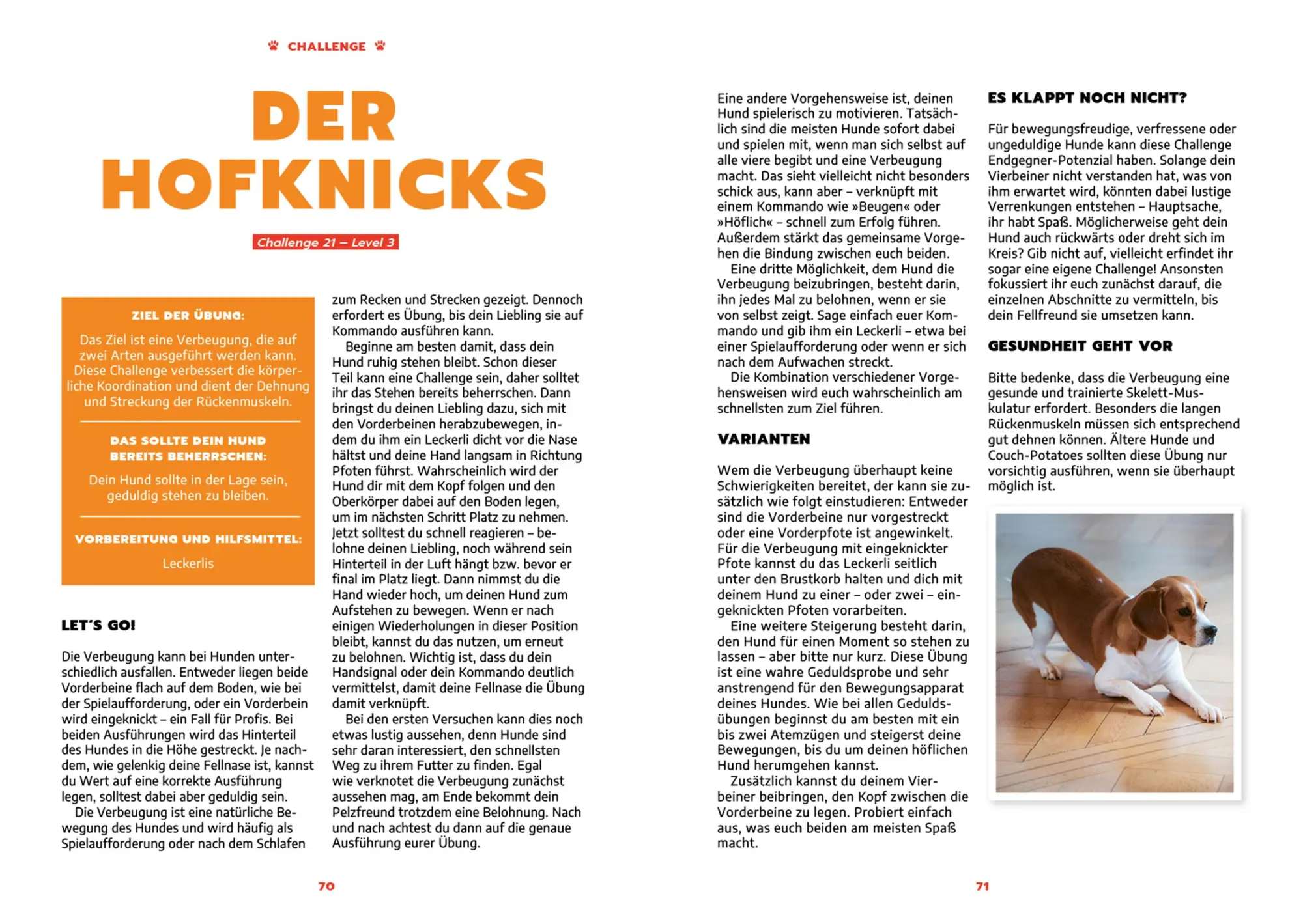 Bild: 9783960965466 | Schnüffeln, Schnappen, Staunen | Nami and Tommy (u. a.) | Buch | 2025
