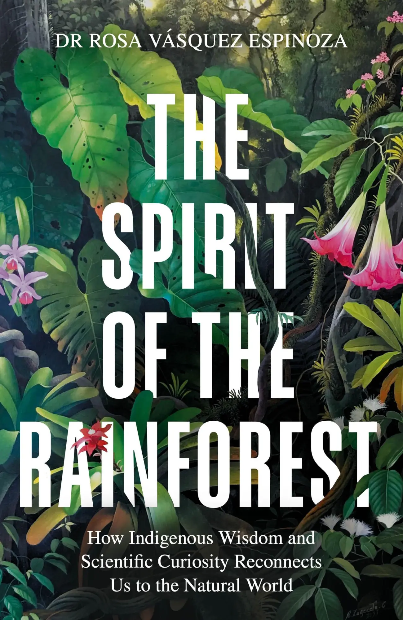 Cover: 9781856755566 | The Spirit of the Rainforest | Rosa Vásquez Espinoza | Buch | Englisch