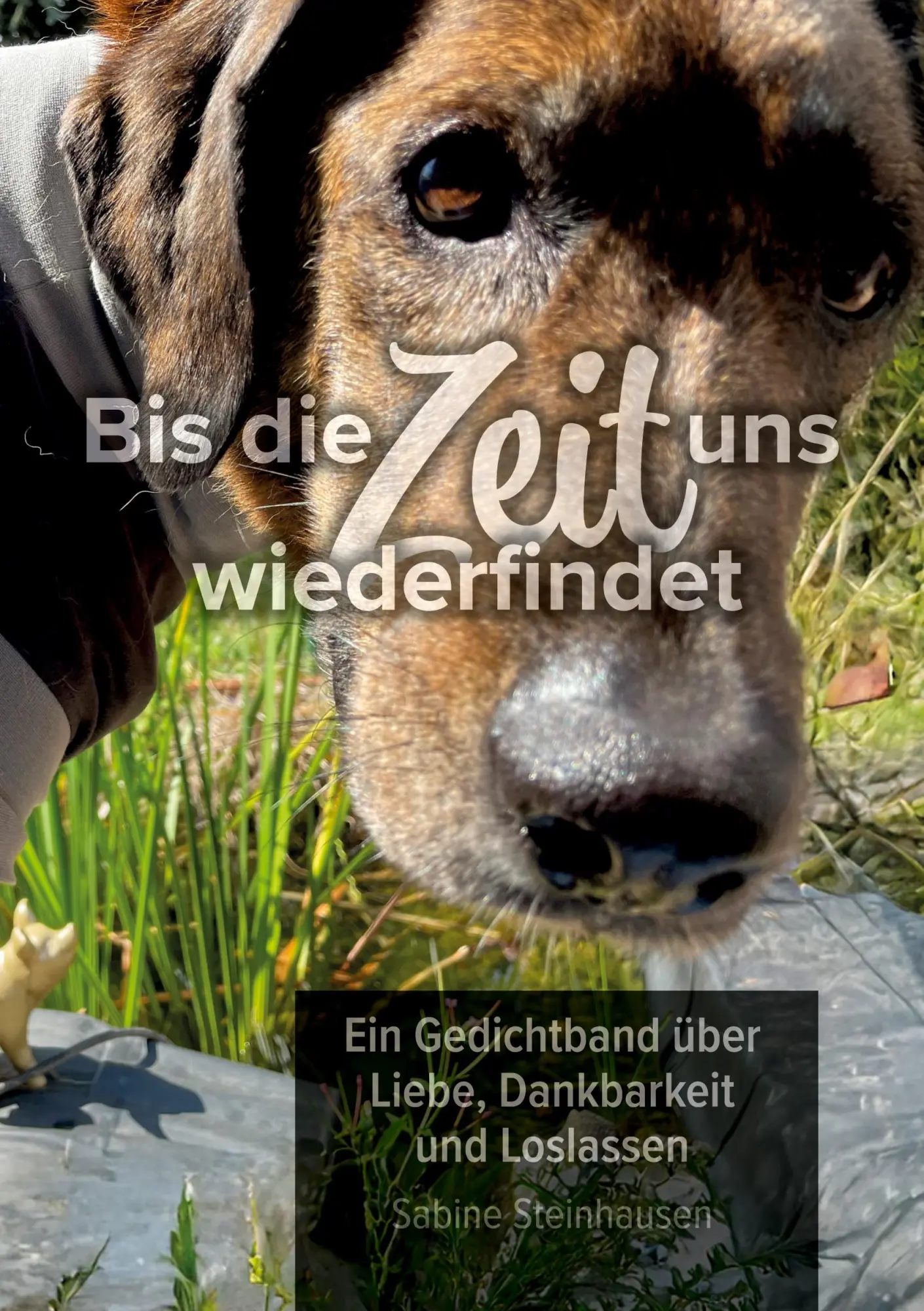 Cover: 9783000855566 | Bis die Zeit uns wiederfindet | Sabine Steinhausen | Taschenbuch