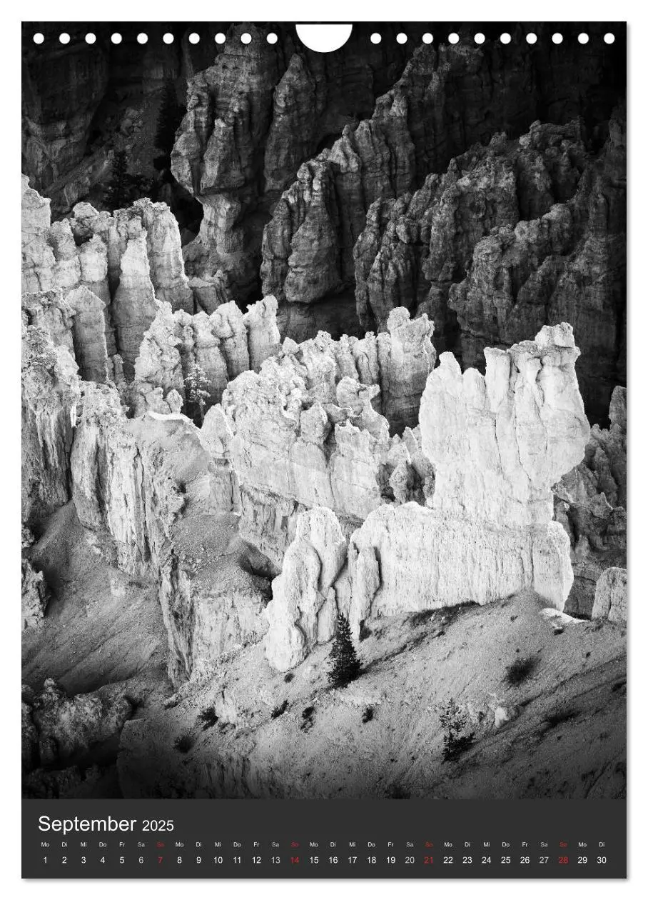 Bild: 9783457035566 | Natur in Schwarz und Weiß (Wandkalender 2025 DIN A4 hoch), CALVENDO...