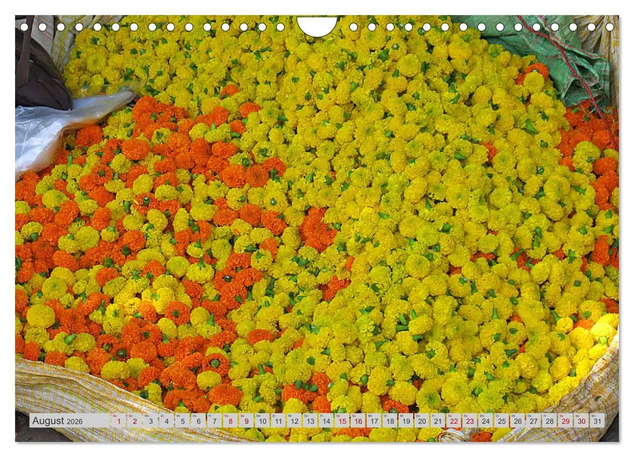 Bild: 9783457345566 | Farbenfrohes Bangladesch (Wandkalender 2026 DIN A4 quer), CALVENDO...