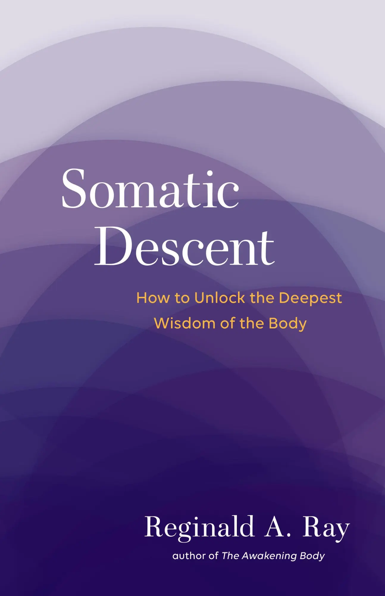 Cover: 9781611805666 | Somatic Descent | How to Unlock the Deepest Wisdom of the Body | Ray