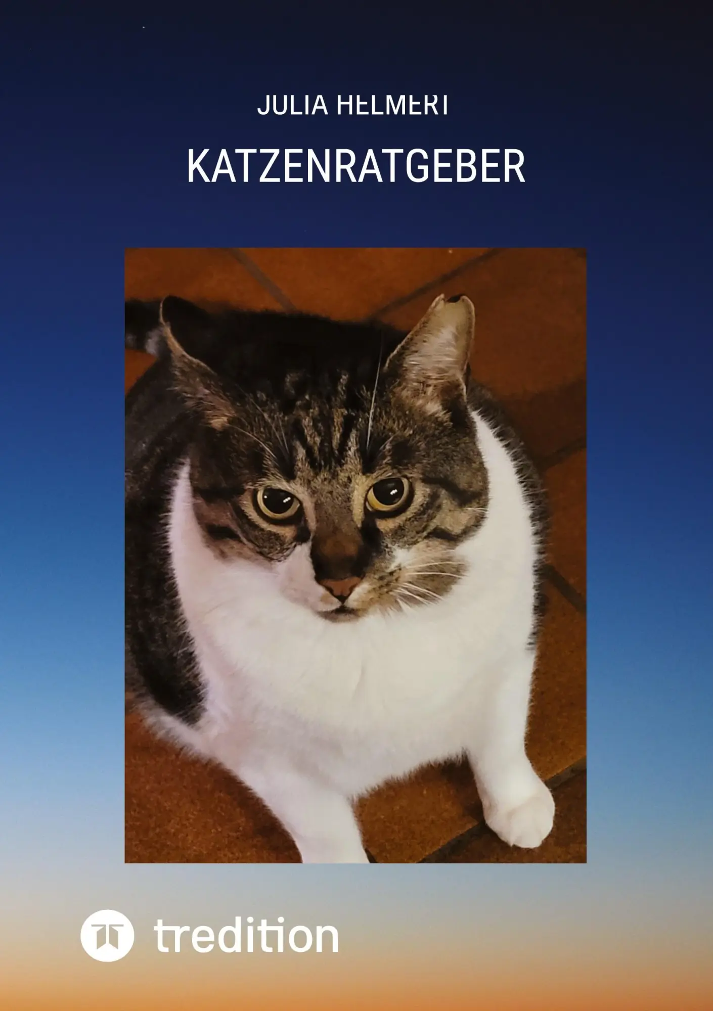 Cover: 9783384525666 | Katzenratgeber | Julia Helmert | Taschenbuch | 40 S. | Deutsch | 2025