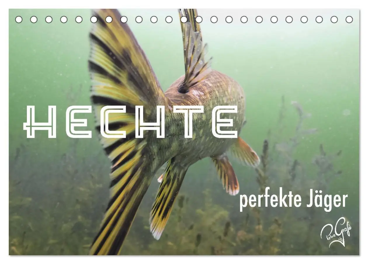 Cover: 9783457645666 | Hechte - perfekte Jäger (Tischkalender 2026 DIN A5 quer), CALVENDO...