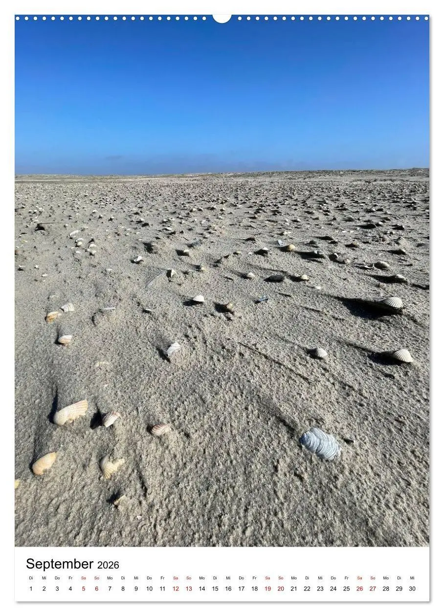 Bild: 9783516665666 | Strand der Sehnsucht - Sankt Peter-Ording (Wandkalender 2026 DIN A2...