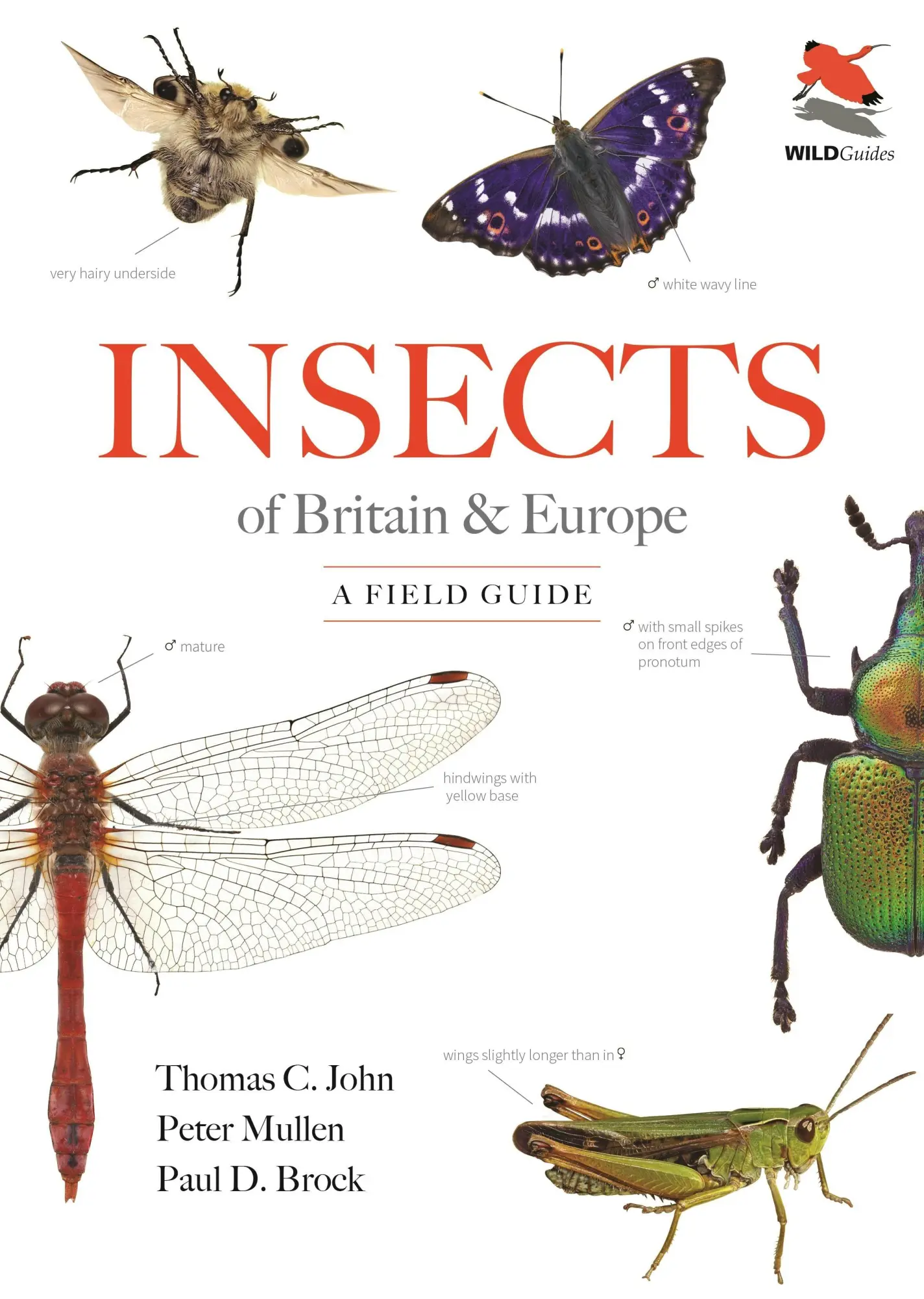 Cover: 9780691265766 | Insects of Britain and Europe | A Field Guide | Thomas C. John (u. a.)