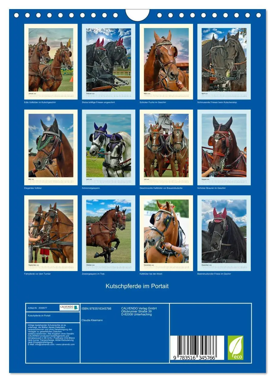Bild: 9783516345766 | Kutschpferde im Portait (Wandkalender 2026 DIN A4 hoch), CALVENDO...