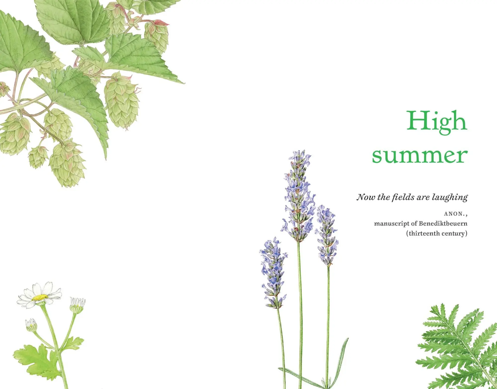 Cover: 9780300265866 | The Herbal Year | Folklore, History and Remedies | Hart-Davies | Buch
