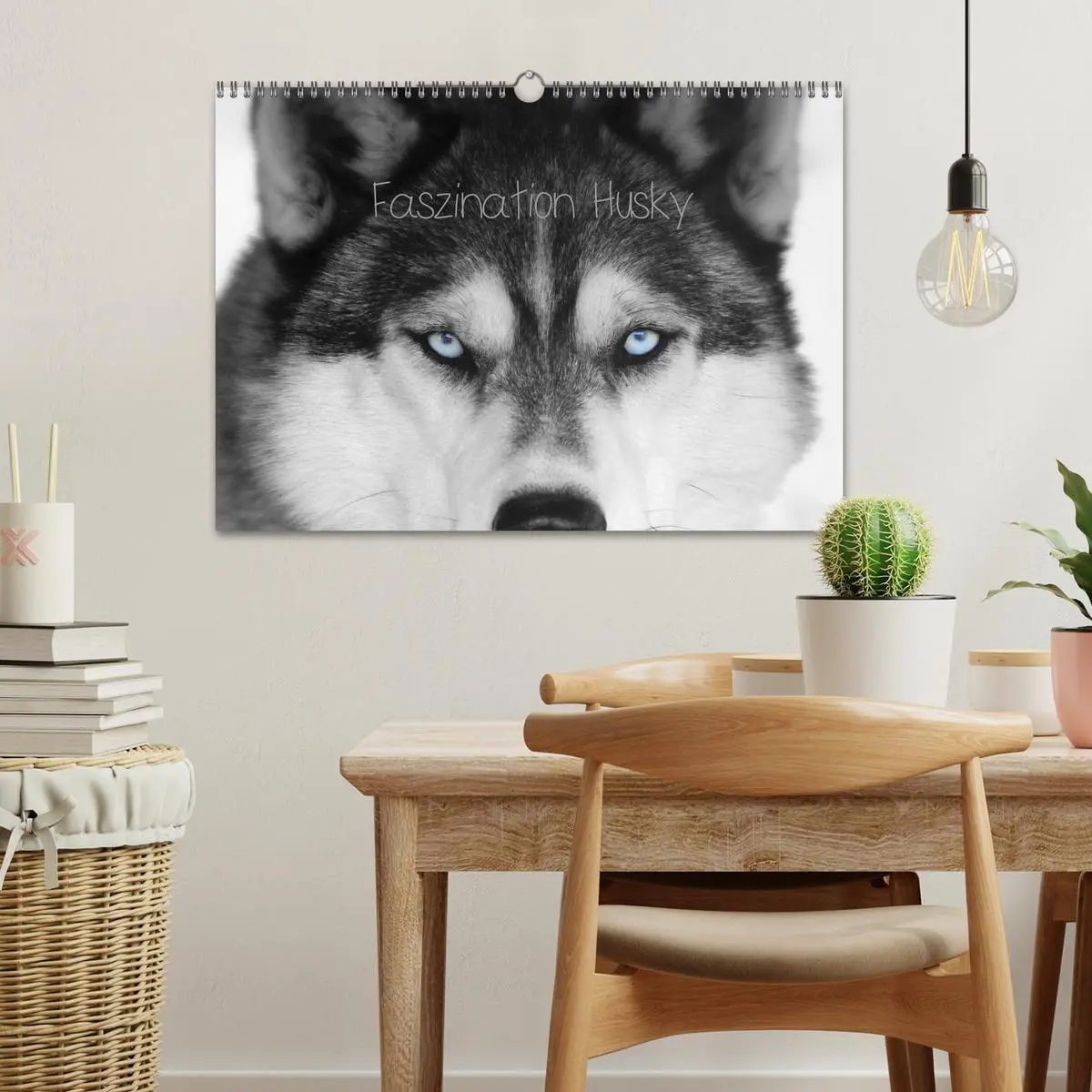 Bild: 9783457935866 | Faszination Husky (Wandkalender 2026 DIN A3 quer), CALVENDO...