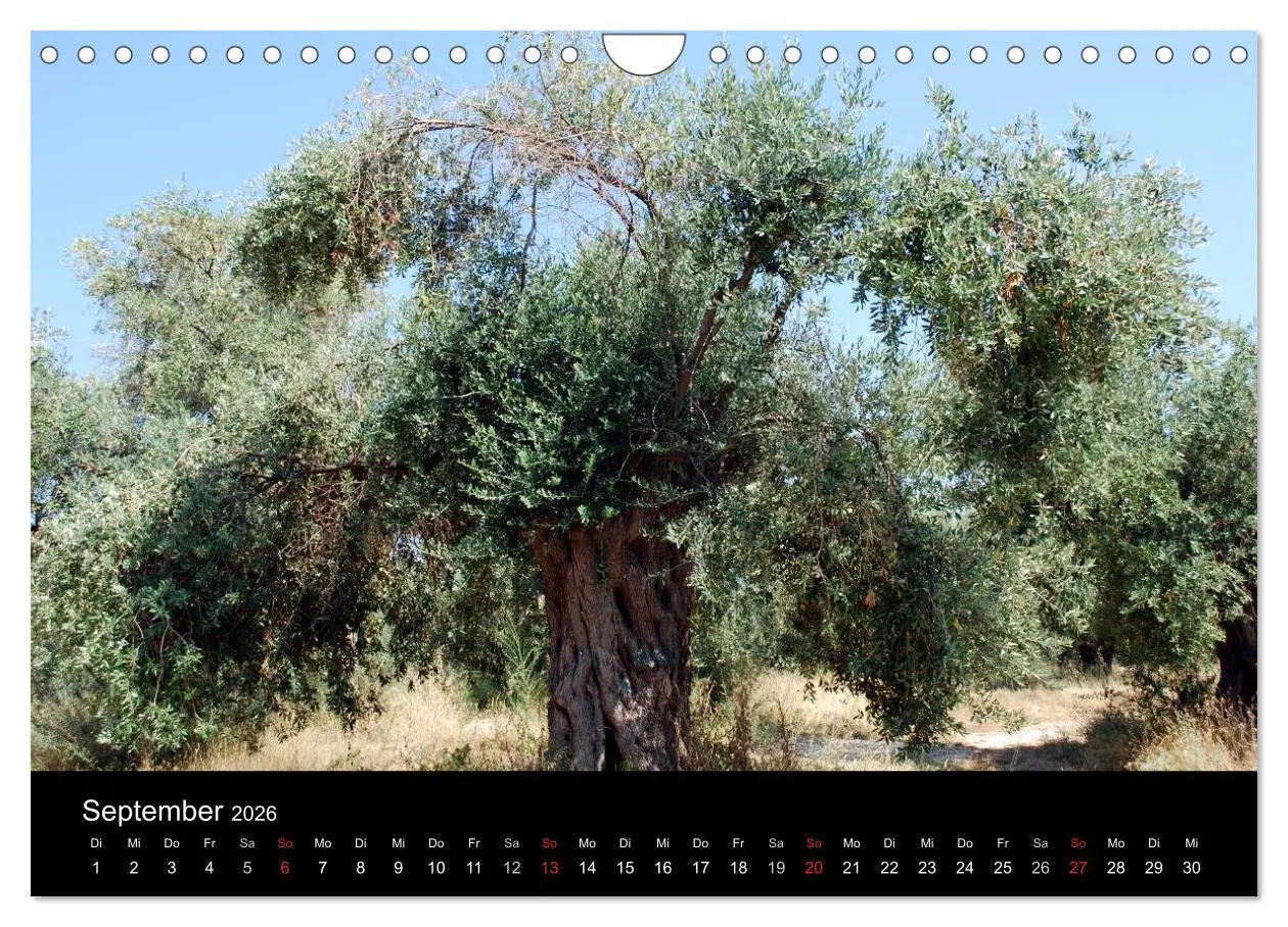 Bild: 9783516195866 | Griechenland - Insel Thassos (Wandkalender 2026 DIN A4 quer),...