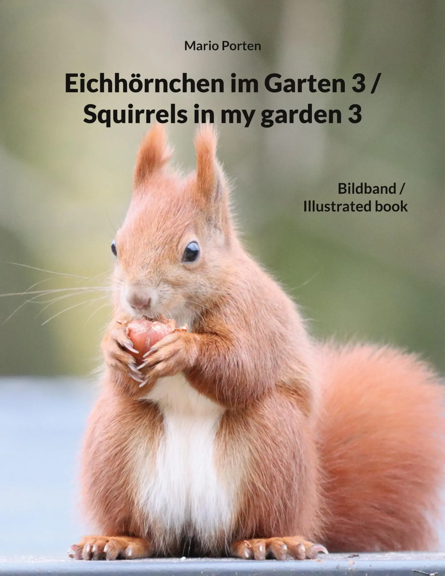 Eichhörnchen im Garten 3 / Squirrels in my garden 3 (Eichhörnchen im Garten / Squirrels in my garden)