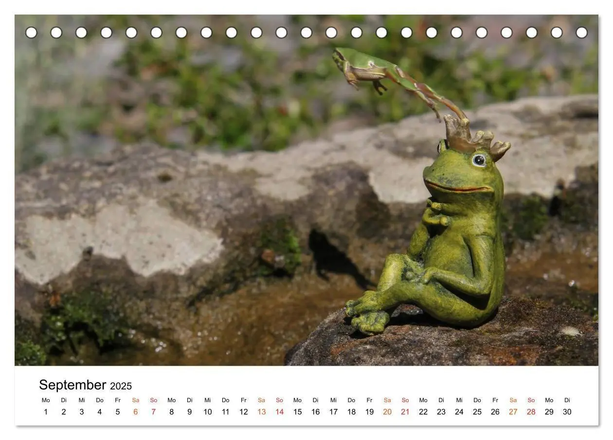 Bild: 9783435695966 | Besucher im Garten - Laubfrösche (Tischkalender 2025 DIN A5 quer),...
