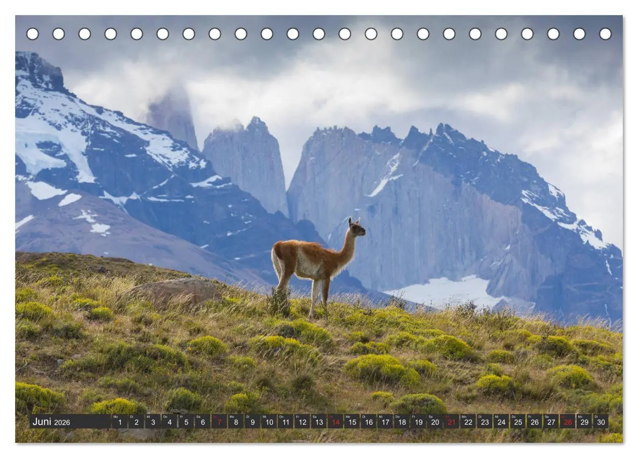 Bild: 9783457785966 | Traumwelt Chile (Tischkalender 2026 DIN A5 quer), CALVENDO...