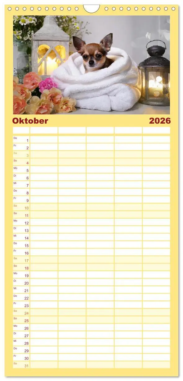 Bild: 9783516495966 | Familienplaner 2026 - Chillige Chihuahuas - Entspannte Fellnasen...