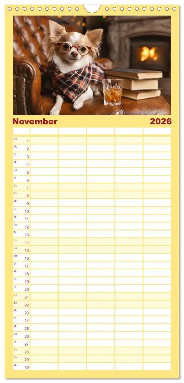 Bild: 9783516495966 | Familienplaner 2026 - Chillige Chihuahuas - Entspannte Fellnasen...