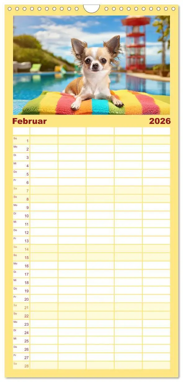 Bild: 9783516495966 | Familienplaner 2026 - Chillige Chihuahuas - Entspannte Fellnasen...