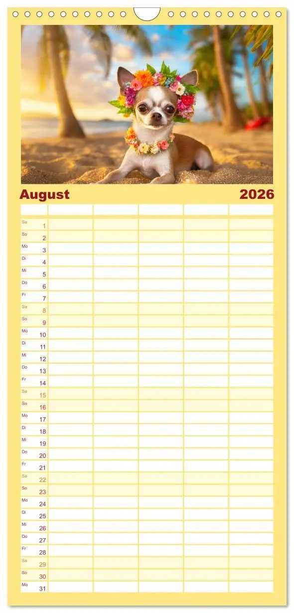 Bild: 9783516495966 | Familienplaner 2026 - Chillige Chihuahuas - Entspannte Fellnasen...