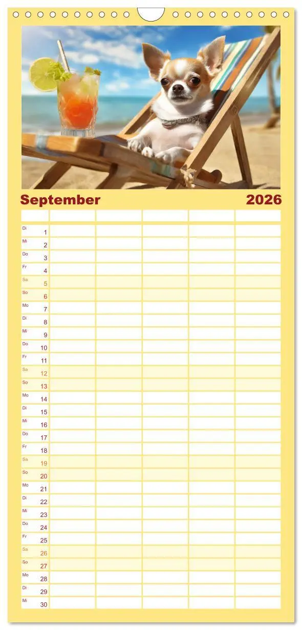 Bild: 9783516495966 | Familienplaner 2026 - Chillige Chihuahuas - Entspannte Fellnasen...