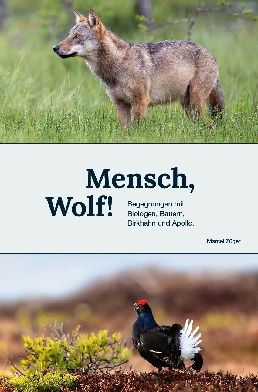 Cover: 9783907095966 | Mensch, Wolf! | Begegnungen mit Biologen, Bauern, Birkhahn und Apollo