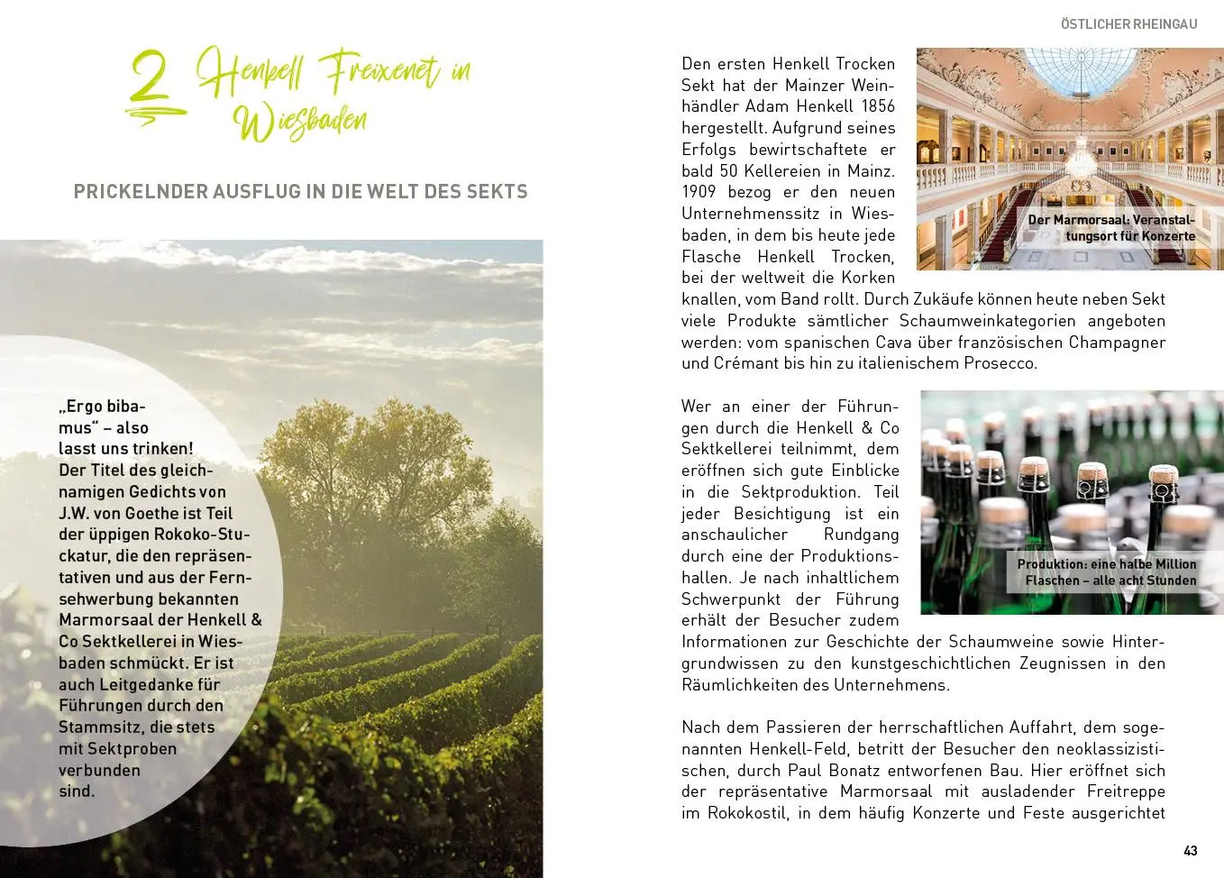 Bild: 9783968555966 | Oberer Mittelrhein und Rheingau - HeimatMomente | Dose (u. a.) | Buch