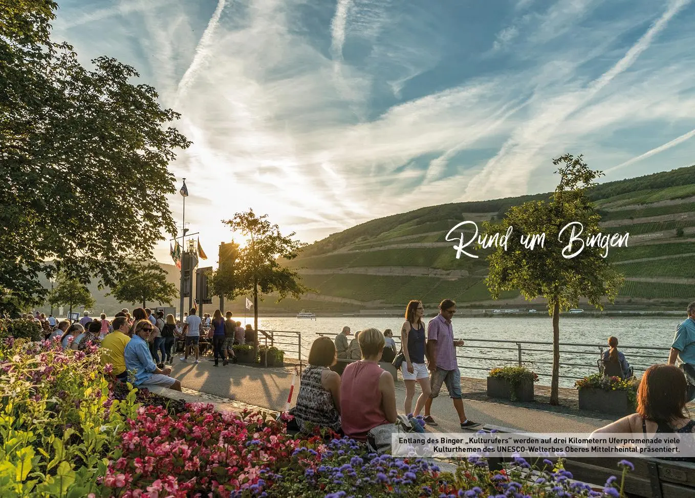 Bild: 9783968555966 | Oberer Mittelrhein und Rheingau - HeimatMomente | Dose (u. a.) | Buch