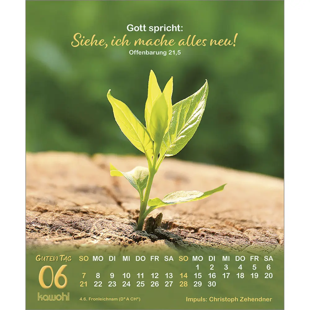 Bild: 9783754816066 | Guten Tag 2026 | Impulse zum Leben | Kalender | Spiralbindung | 2026