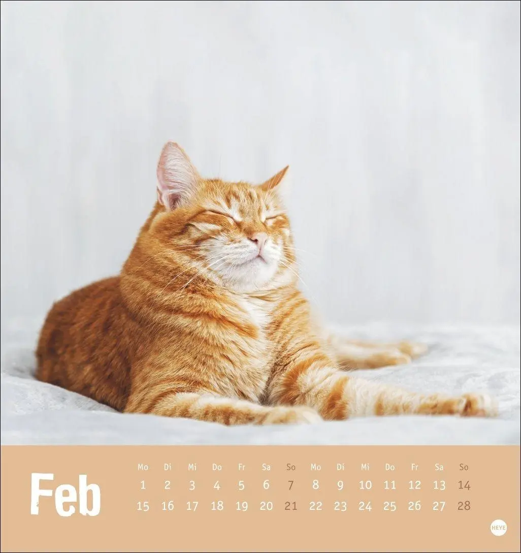 Bild: 9783756416066 | Tierisch entspannte Katzen Postkartenkalender 2027 | Heye | Kalender