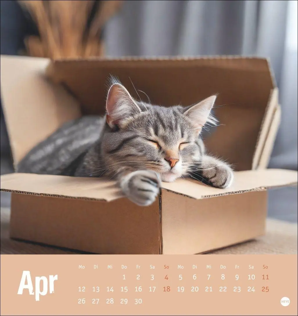 Bild: 9783756416066 | Tierisch entspannte Katzen Postkartenkalender 2027 | Heye | Kalender