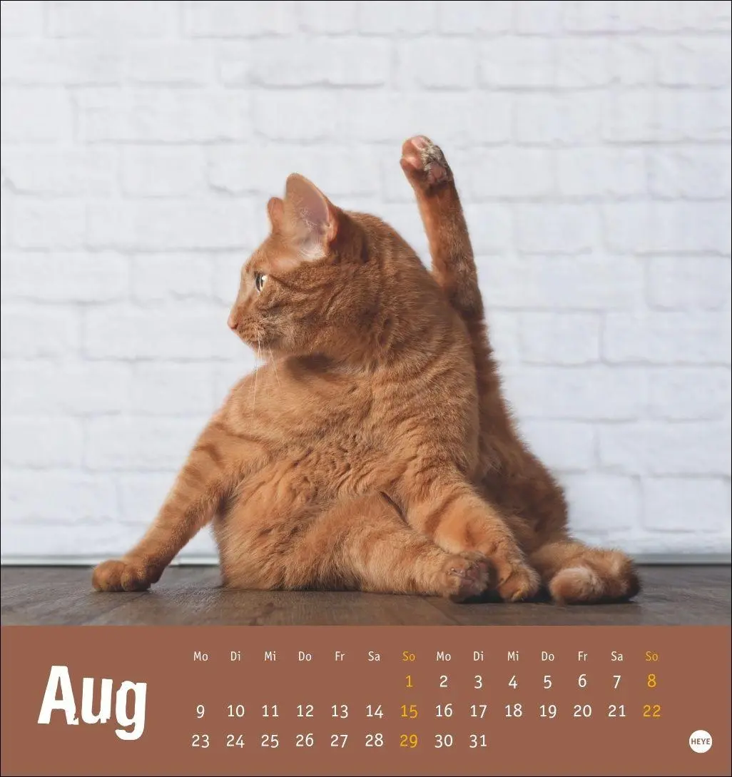 Bild: 9783756416066 | Tierisch entspannte Katzen Postkartenkalender 2027 | Heye | Kalender