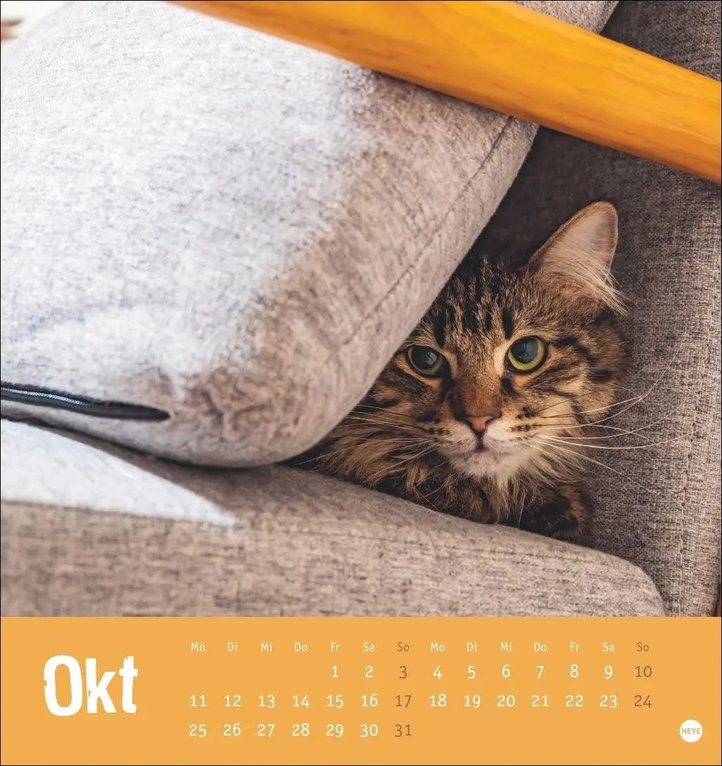 Bild: 9783756416066 | Tierisch entspannte Katzen Postkartenkalender 2027 | Heye | Kalender