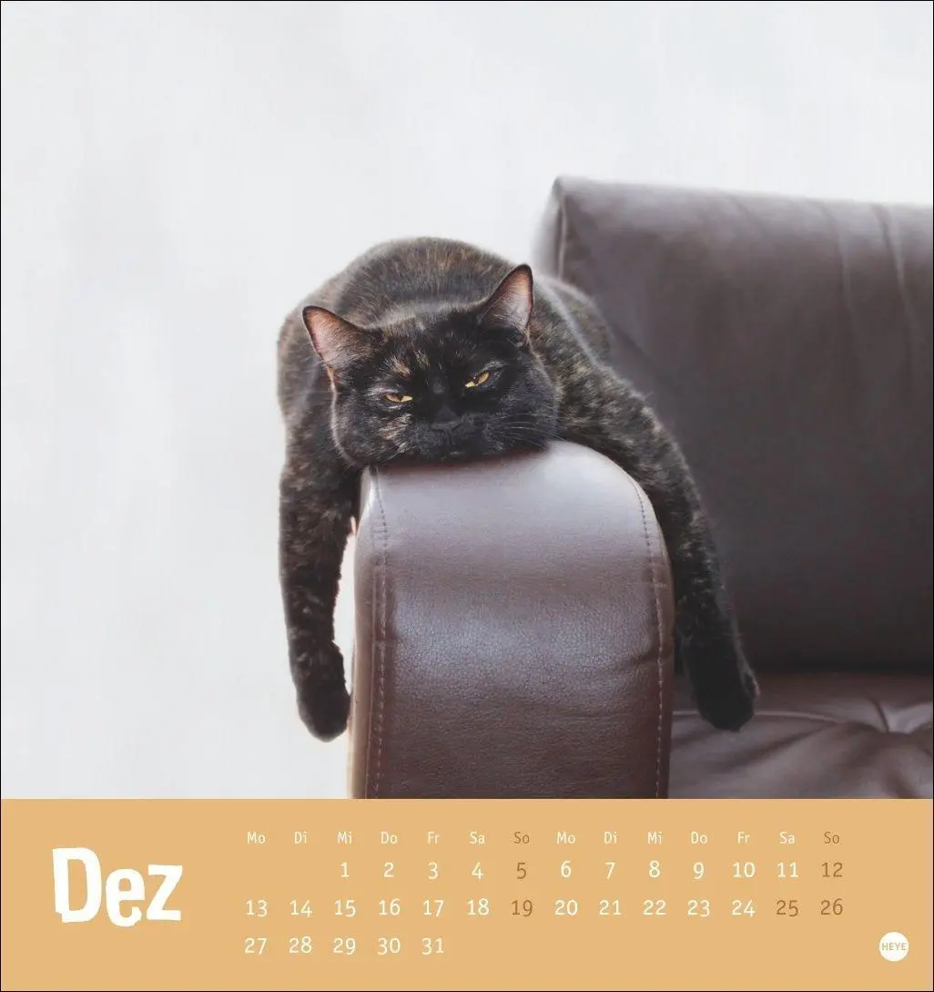 Bild: 9783756416066 | Tierisch entspannte Katzen Postkartenkalender 2027 | Heye | Kalender
