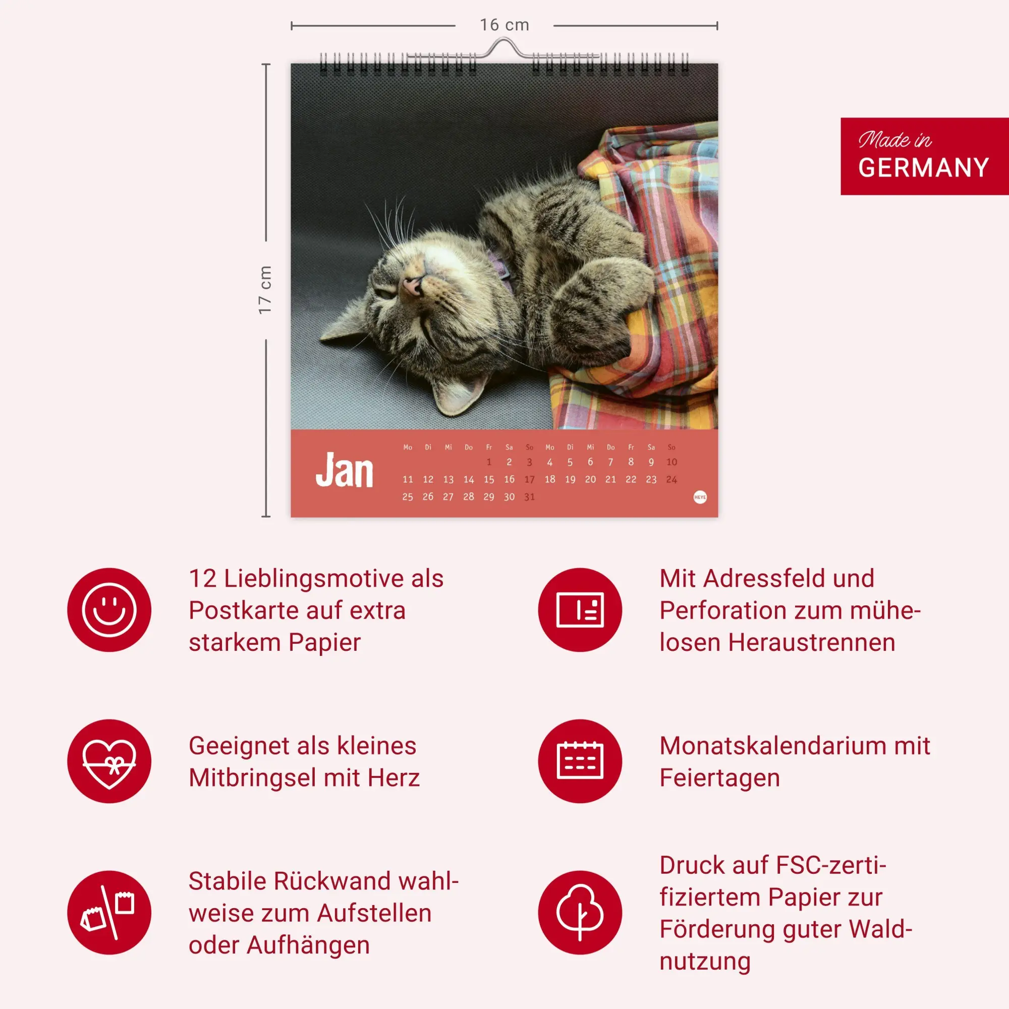 Bild: 9783756416066 | Tierisch entspannte Katzen Postkartenkalender 2027 | Heye | Kalender