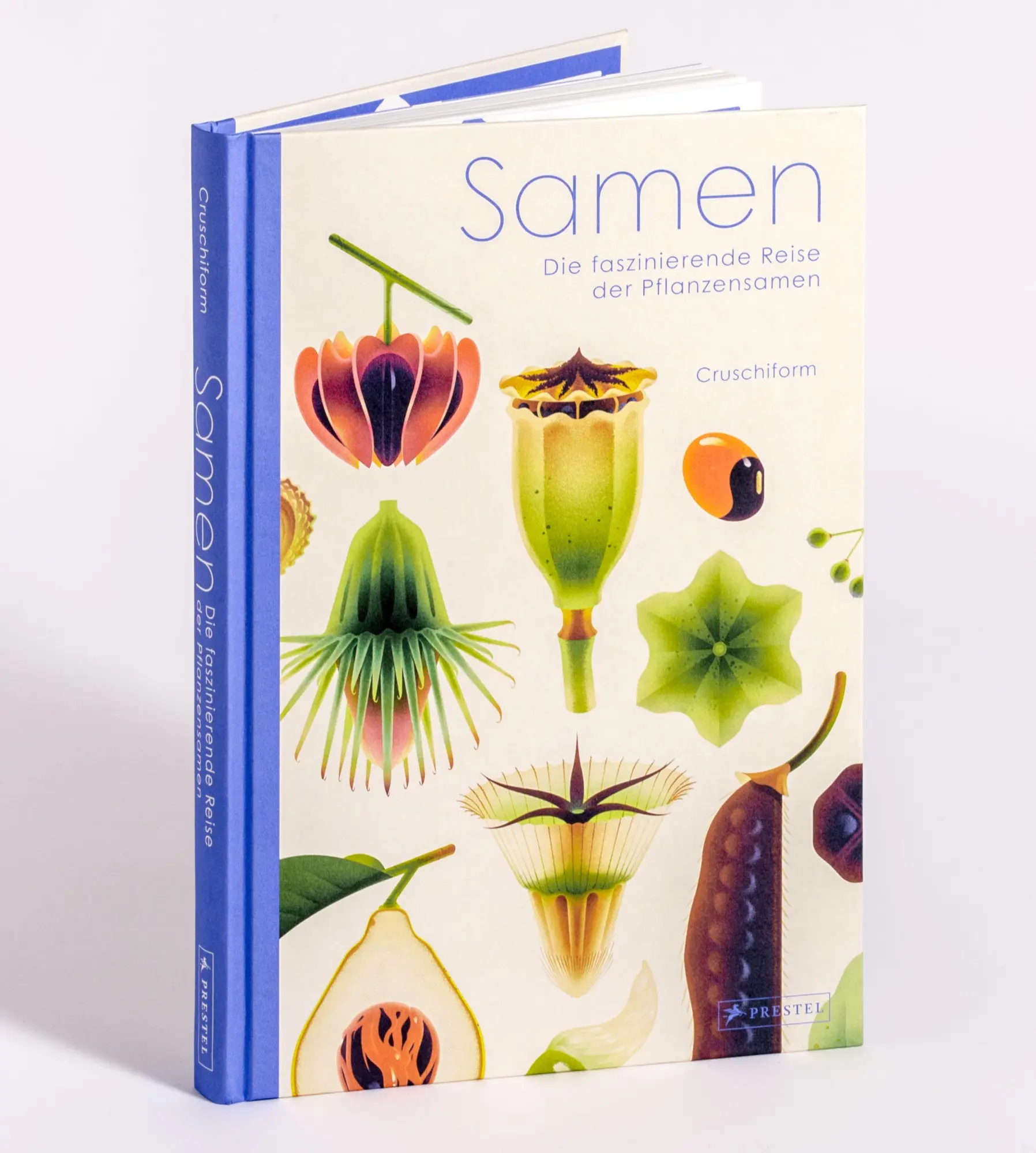 Cover: 9783791376066 | Samen | Die faszinierende Reise der Pflanzensamen | Cruschiform | Buch