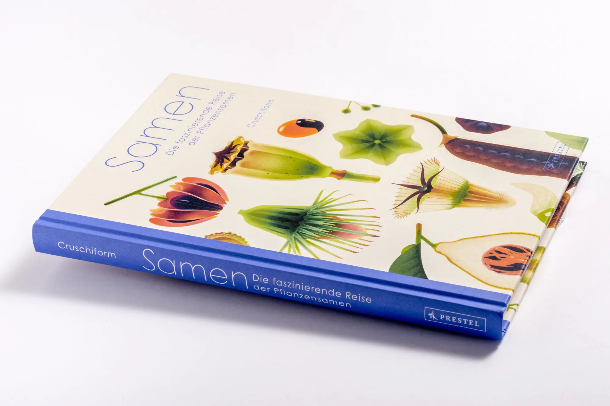 Bild: 9783791376066 | Samen | Die faszinierende Reise der Pflanzensamen | Cruschiform | Buch