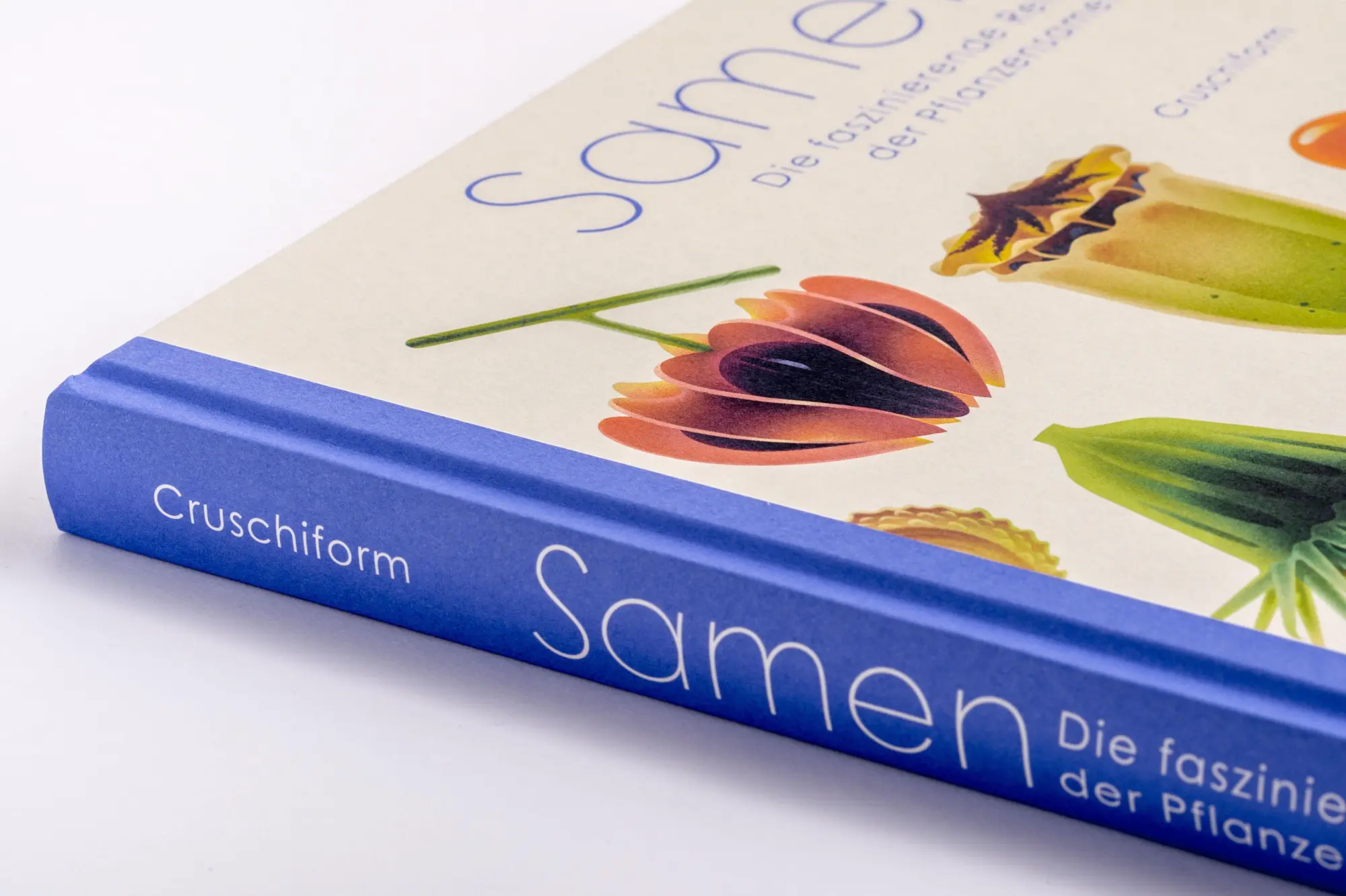 Bild: 9783791376066 | Samen | Die faszinierende Reise der Pflanzensamen | Cruschiform | Buch