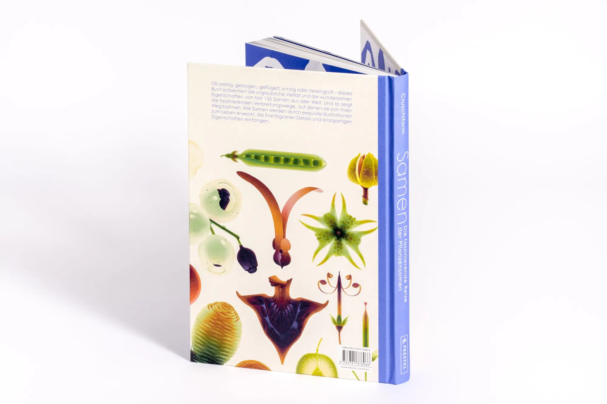 Bild: 9783791376066 | Samen | Die faszinierende Reise der Pflanzensamen | Cruschiform | Buch