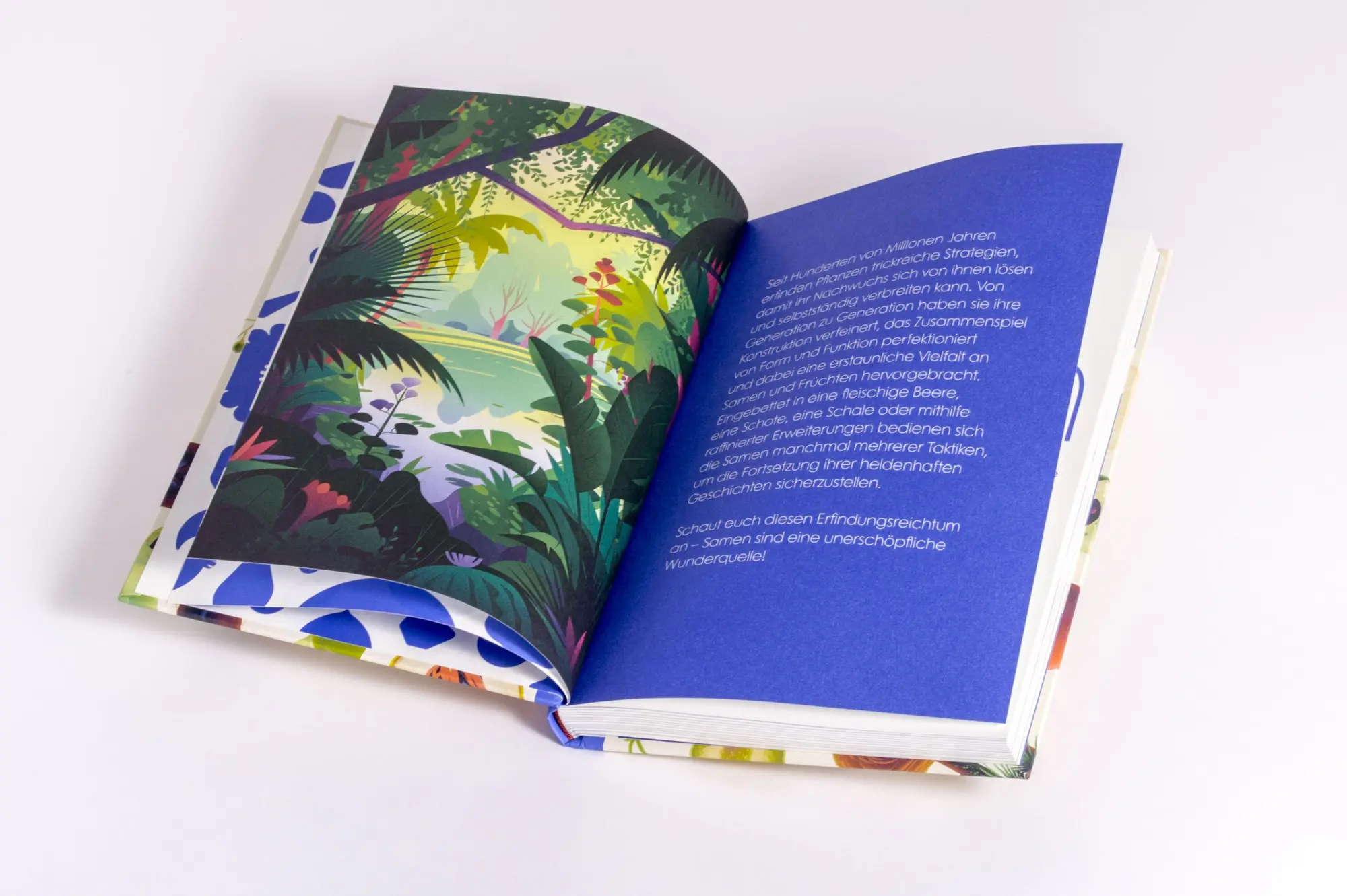 Bild: 9783791376066 | Samen | Die faszinierende Reise der Pflanzensamen | Cruschiform | Buch