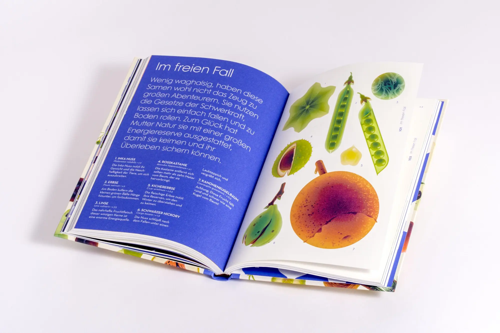 Bild: 9783791376066 | Samen | Die faszinierende Reise der Pflanzensamen | Cruschiform | Buch