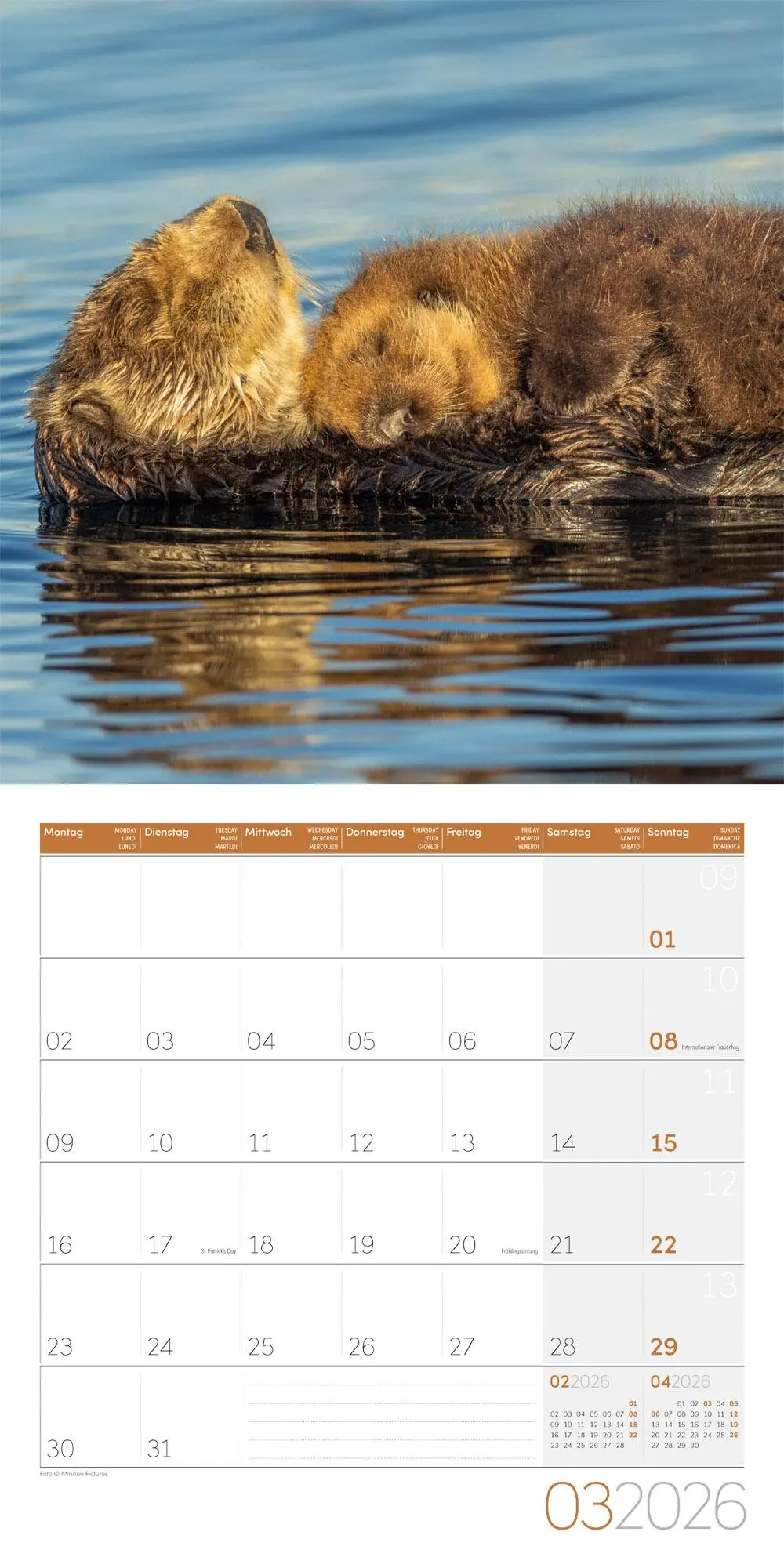 Bild: 9783838446066 | Otter Broschürenkalender 2026 - 30x30 - Art12 | GmbH | Kalender | 2026
