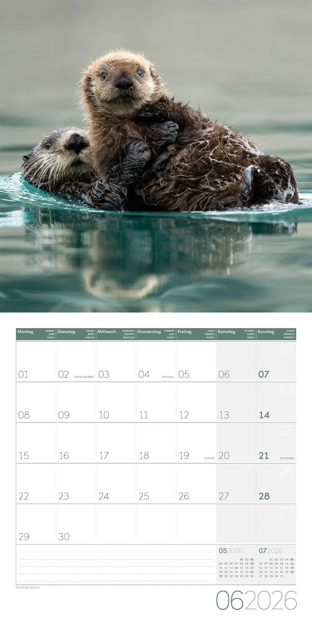 Bild: 9783838446066 | Otter Broschürenkalender 2026 - 30x30 - Art12 | GmbH | Kalender | 2026