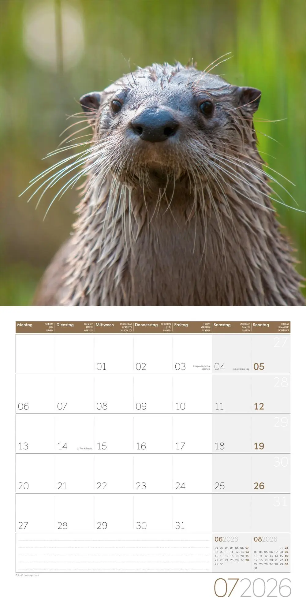 Bild: 9783838446066 | Otter Broschürenkalender 2026 - 30x30 - Art12 | GmbH | Kalender | 2026