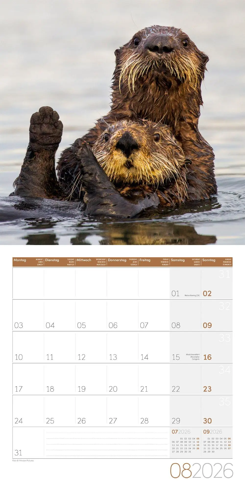 Bild: 9783838446066 | Otter Broschürenkalender 2026 - 30x30 - Art12 | GmbH | Kalender | 2026